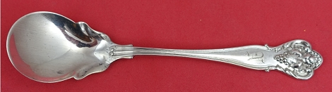 Ice Cream Spoon 5 3/4